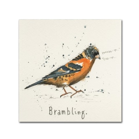 Michelle Campbell 'Brambling' Canvas Art,18x18